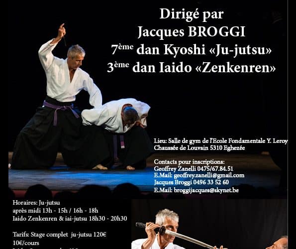 Affiche du stage d'été 2024 - Ju-jutsu et iaido
